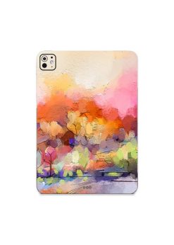 Ipad Pro 11 inch M4 ColorLand